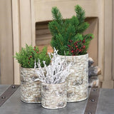 Birch Containers, Set Of 3 - Avenue of Oaks Decor